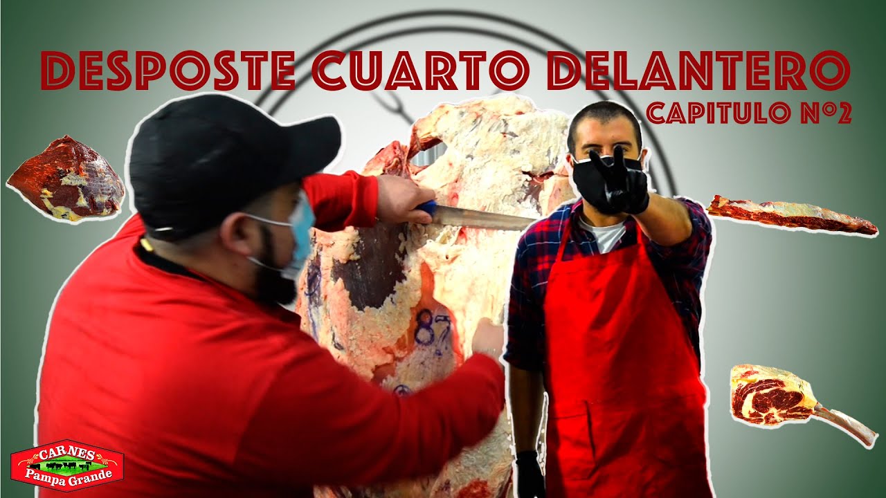 Tutorial Desposte de Res Cuarto Delantero Punta Arenas Patagonia Chile