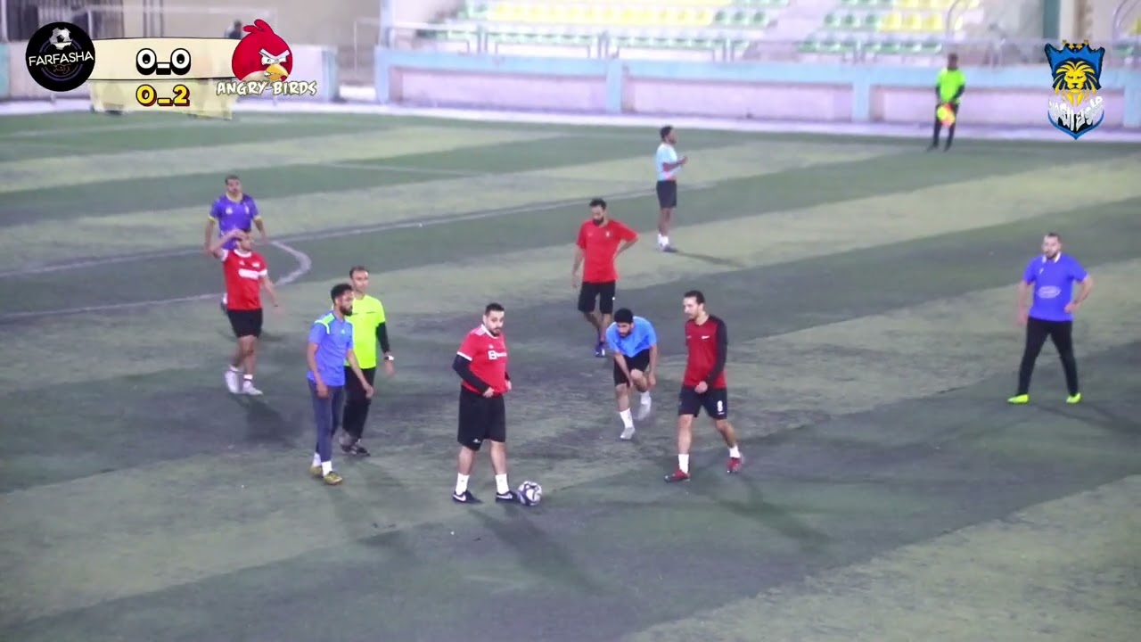 النهائي بين الطيور الغاضبة😡 وفرفشة 🥳 3_3