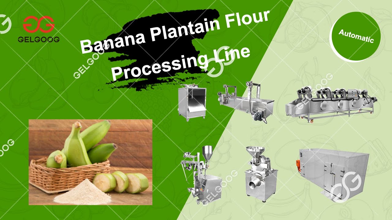Plantain Banana Flour Processing Plant