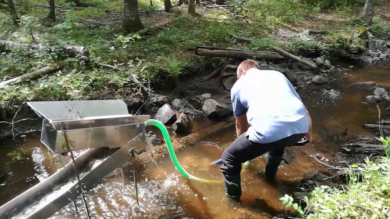 Guldvaskning i Granvik