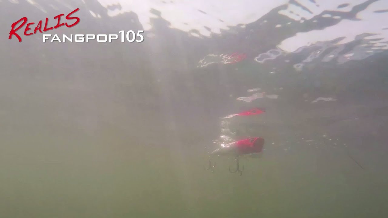 Lures In Motion: Realis FangPop105