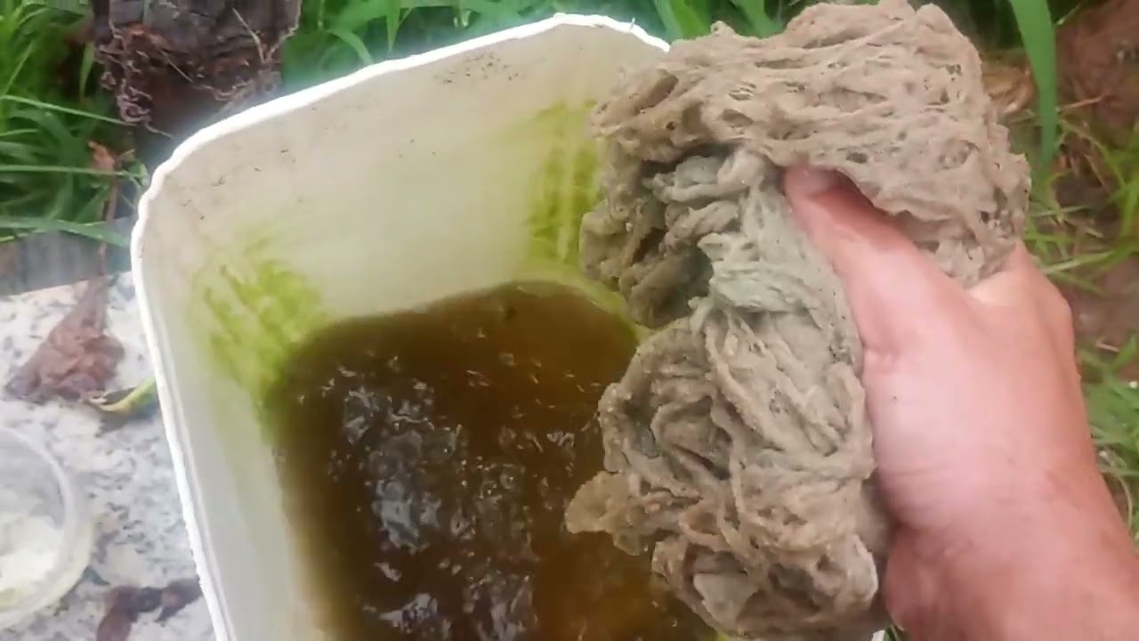 Como fazer um tanque simples para criação pequena de tilápias, tudo muito fácil. 