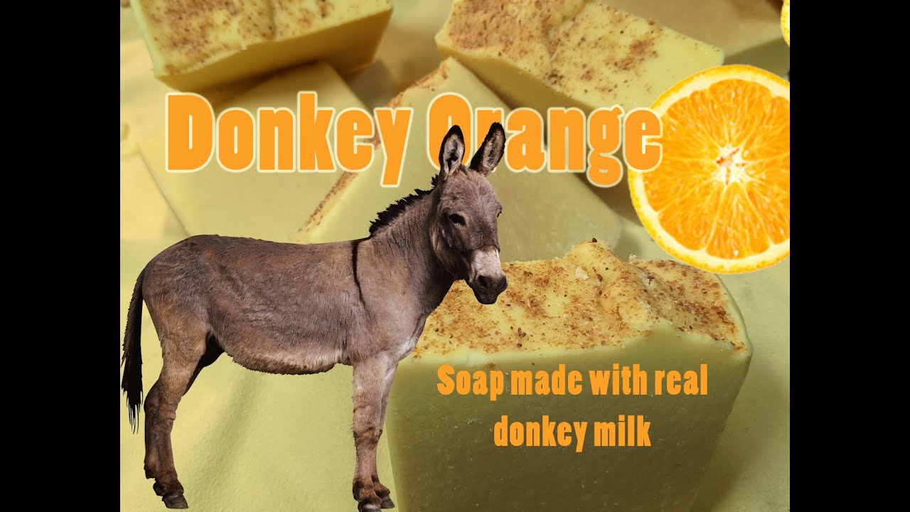 How to make Donkey Milk Soap