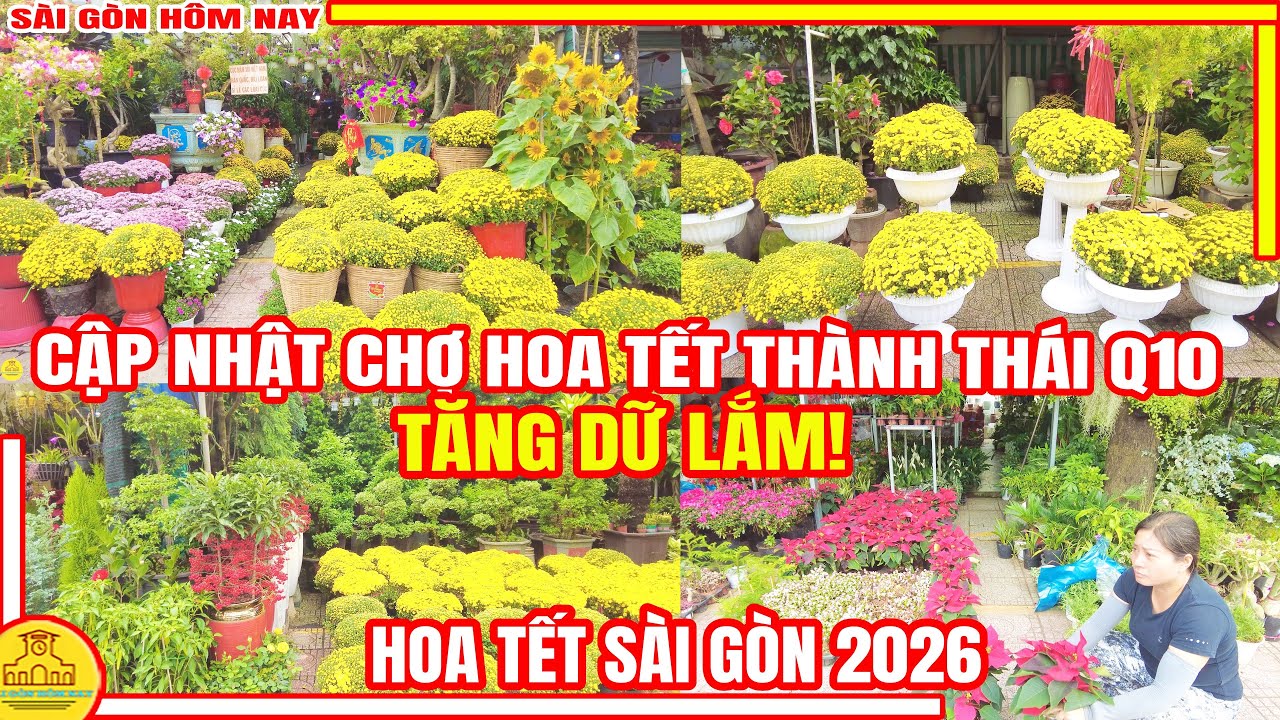RỤC RỊCH! Tết Thật Gần | Chợ Hoa Tết THÀNH THÁI Khu BẮC HẢI Q10 | Hoa Tết Sài Gòn Hôm Nay