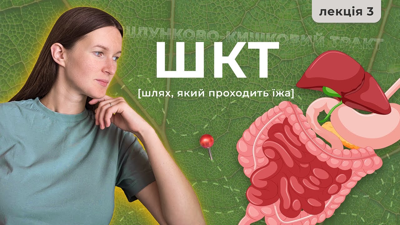 Чи можна запивати їжу водою?