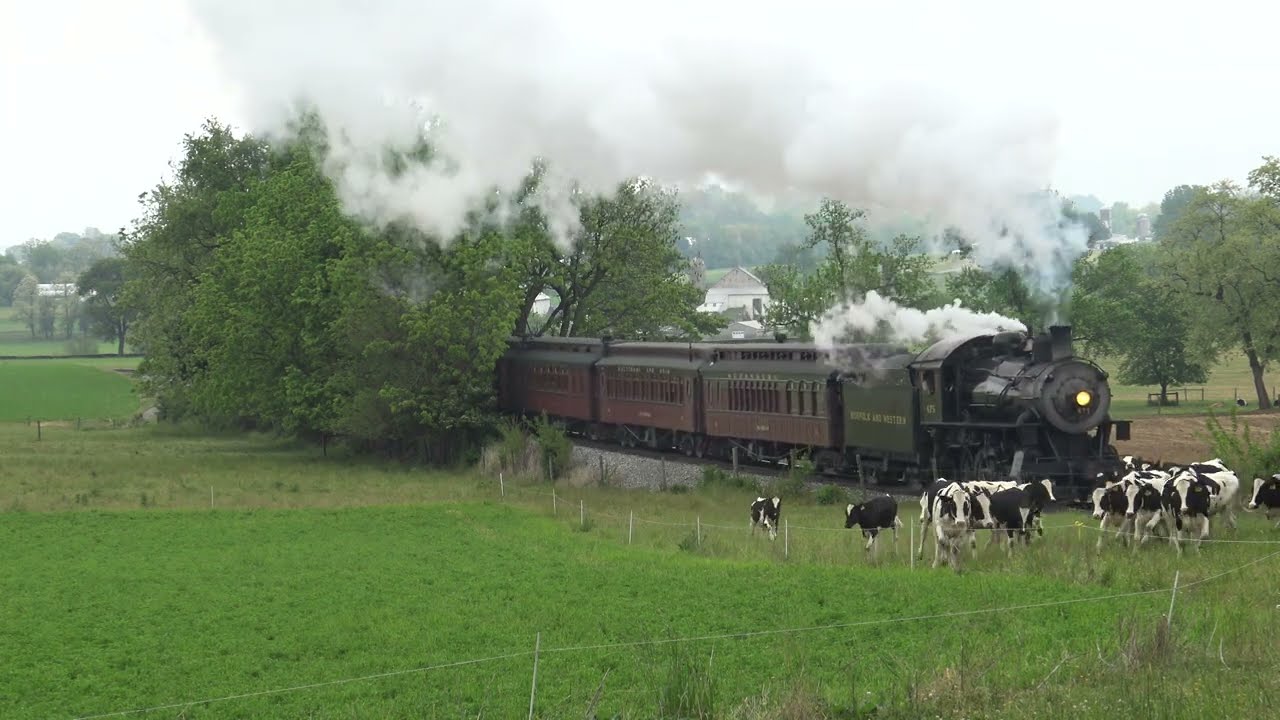 Strasburg 8  N&W 475 works uphill past cows approaching Carpenters, PA