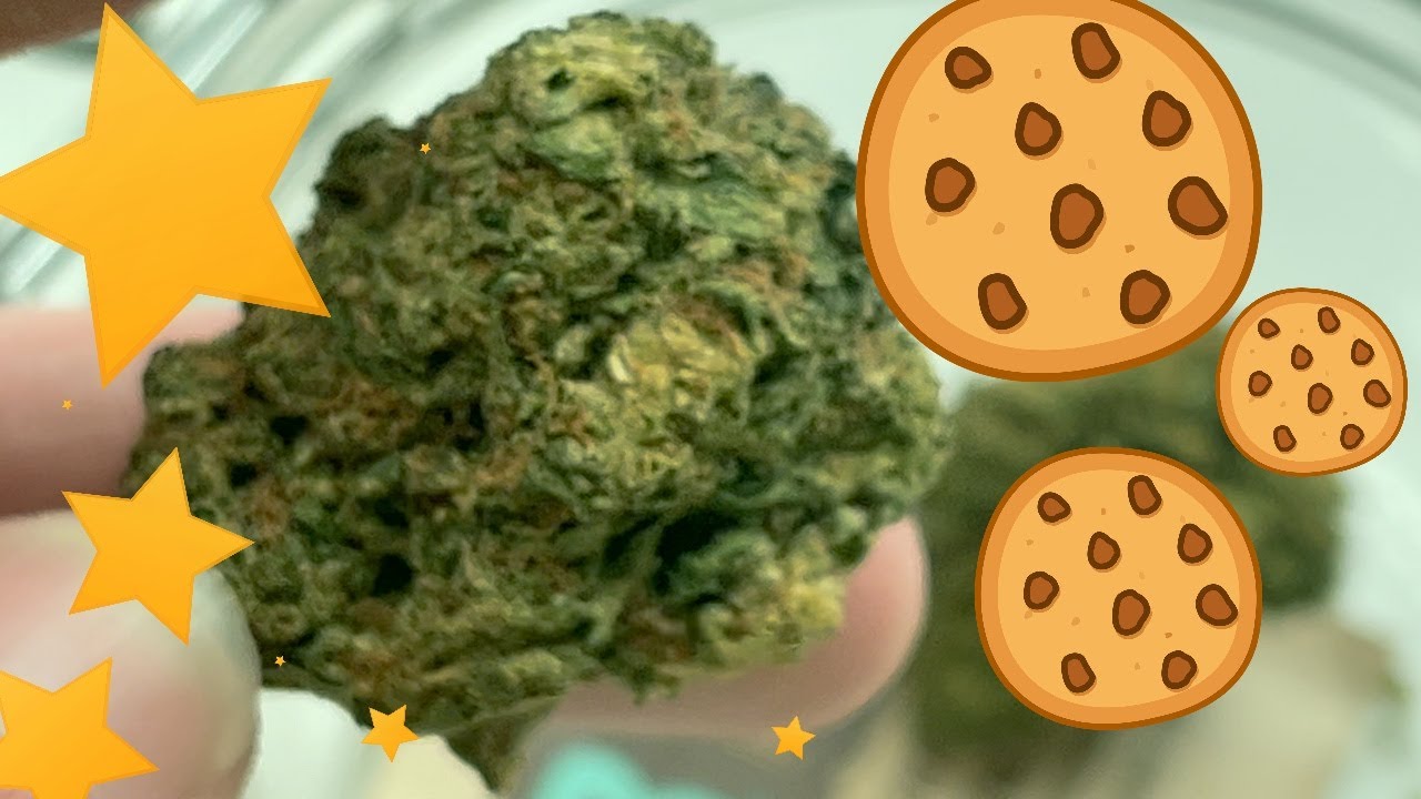 Biscotti Strain Review