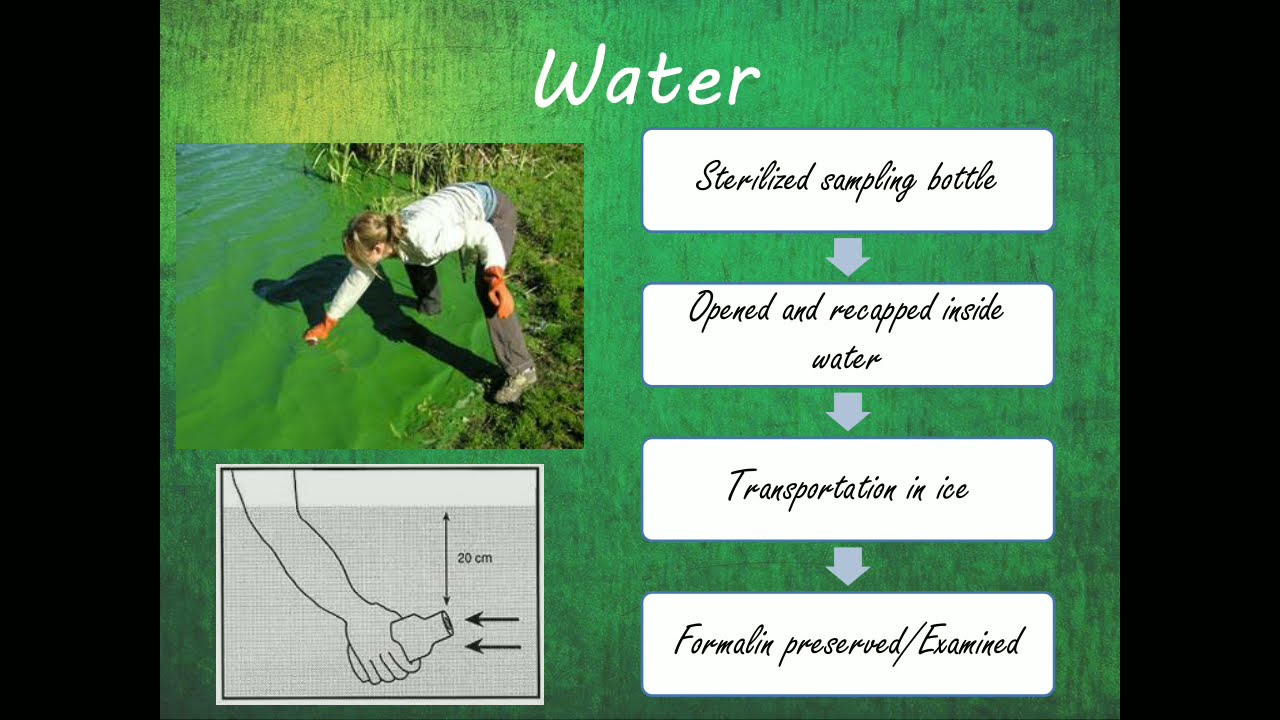 Isolation of Algae from Soil and Water