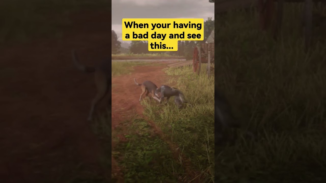 Having a bad day? This will melt your heart - Dogs / Puppies playing