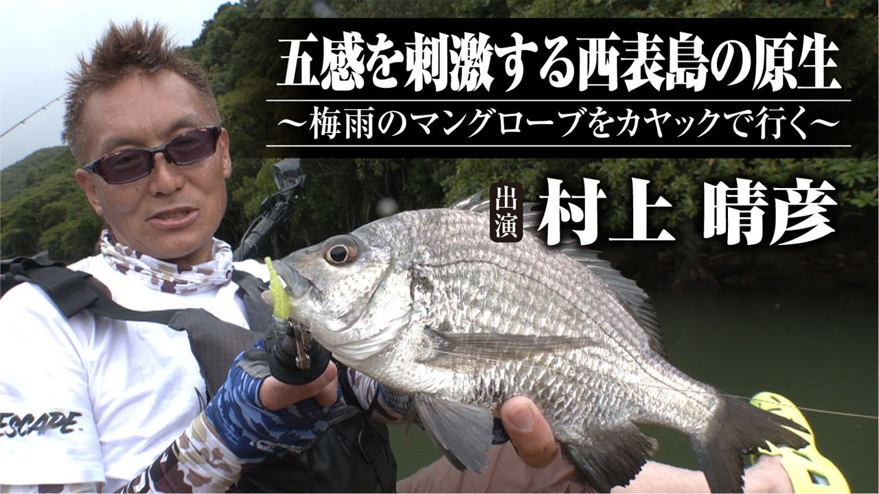 #520 五感を刺激する西表島の原生〜梅雨のマングローブをカヤックで行く〜