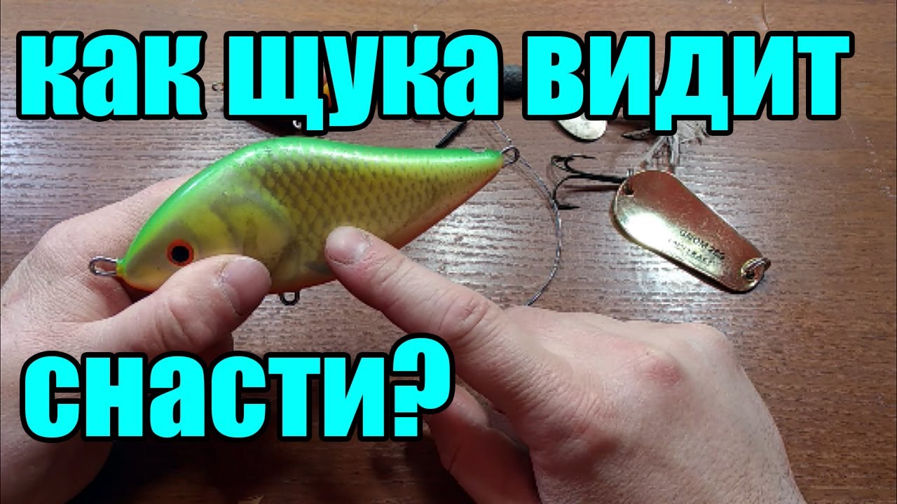 Зрение щуки.