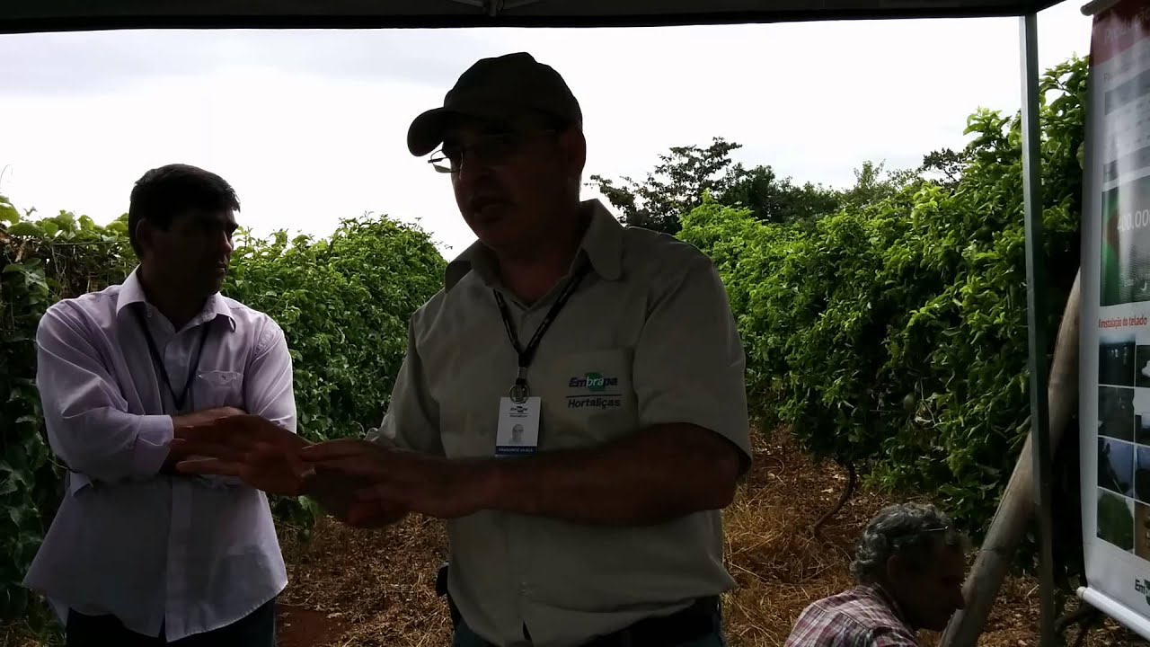 Plantando Alho - Dia de Campo com Produtores do PAA Uberlândia