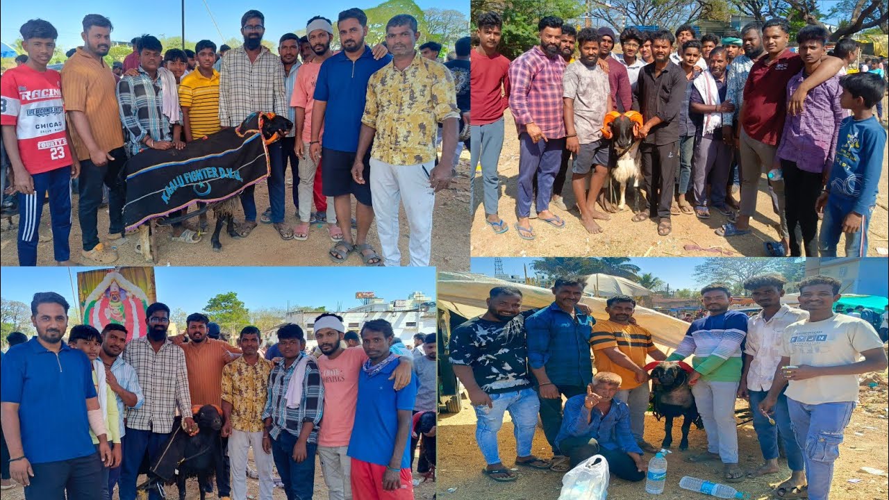 ಪಾರ್ಟ್ 2 ಕಾಲು ಫೈಟರ್ and ಬೆಣ್ಣೆ ಪೇಟೆ ಜೀವನ ರಥ ಗ್ರೂಪ್ ಮರಿಗಳು 