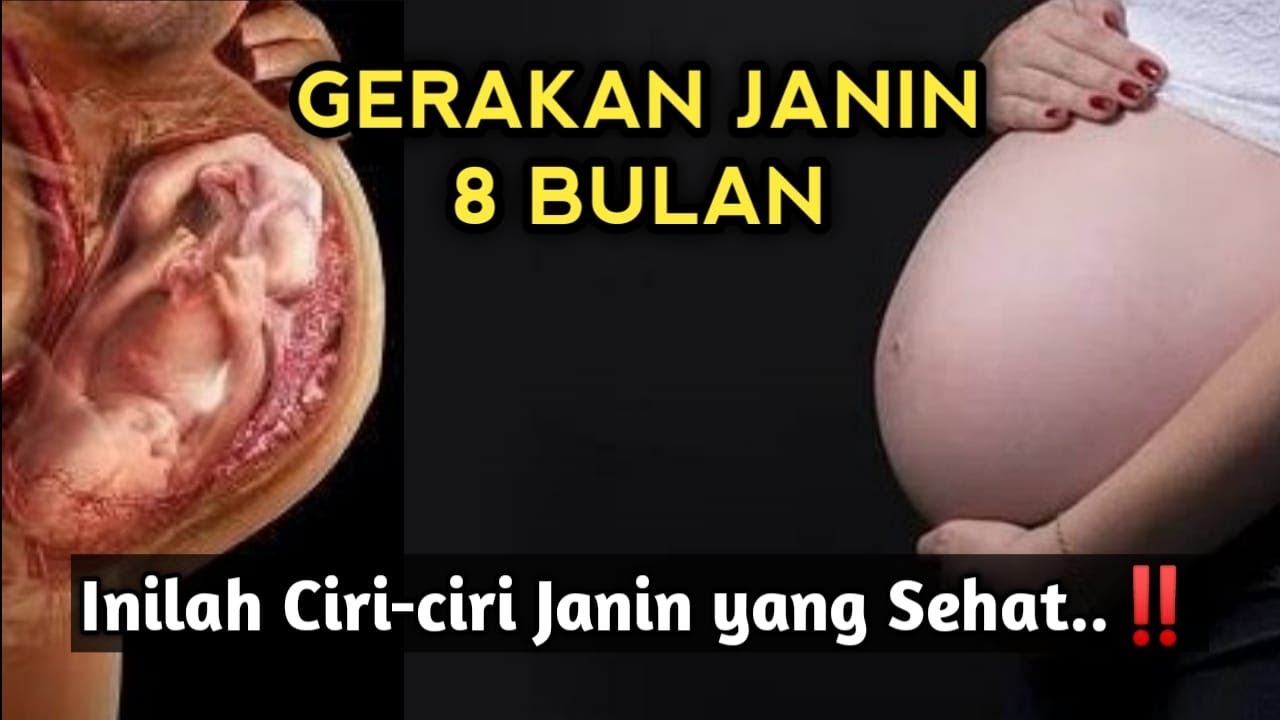 GERAKAN JANIN USIA 8 BULAN – Seperti Apa Ciri-ciri Janin yang Sehat?