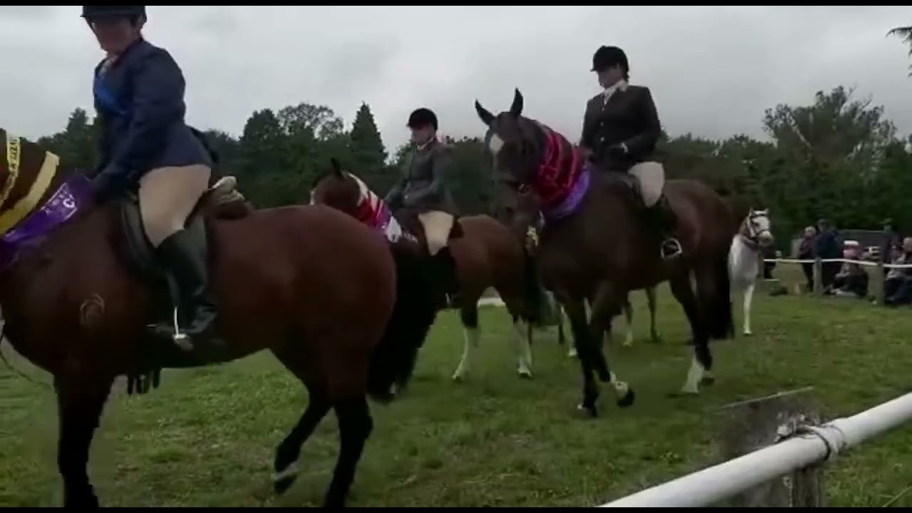 More on A&P Show way back 2023 