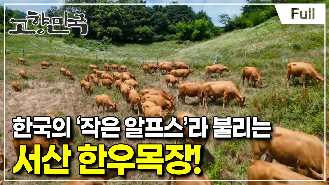 [Full] 고향민국 - 서산, 역사가 숨 쉬는 땅 해미