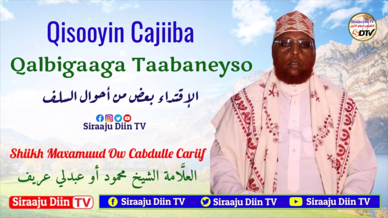 Qisooyin Cajiiba Qalbigaaga Taabaneyso || Shiikh Maxamuud Ow Cabdulle Cariif