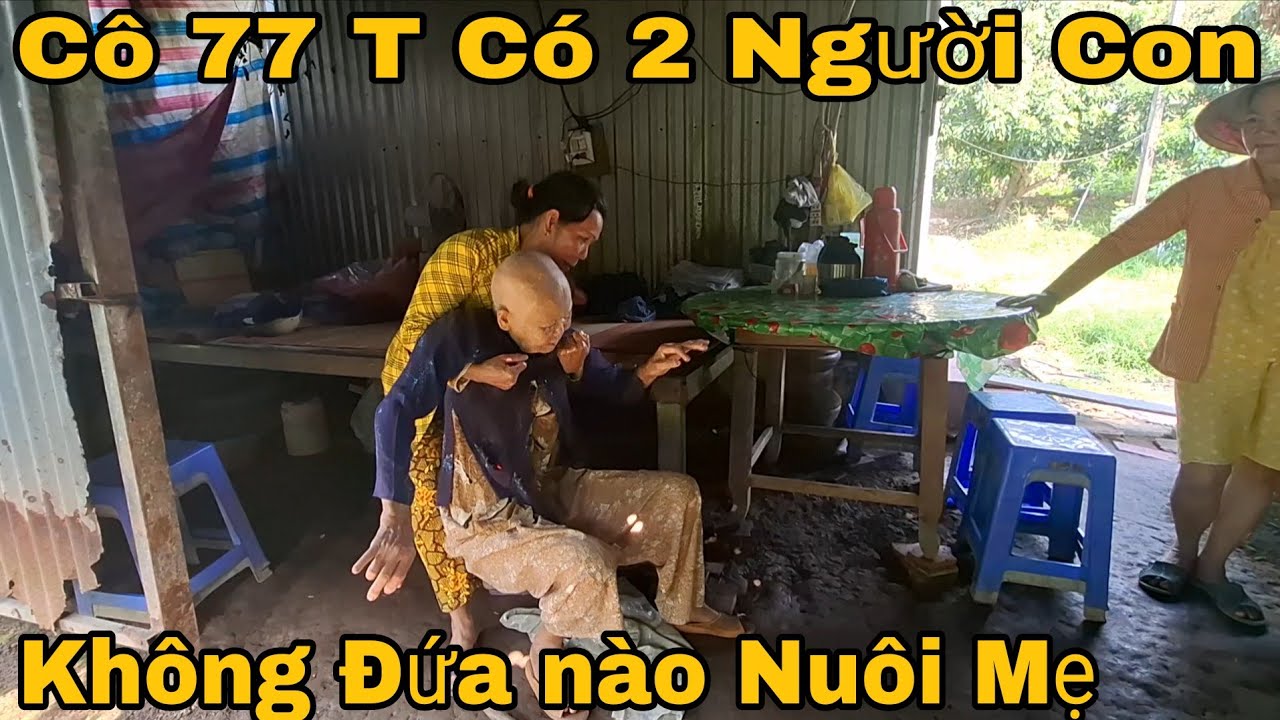 Bà Ngoài 77 T Có 2 Đứa con Không Ai Nuôi Mẹ Ở Một Mình Trong Căn Chòi 