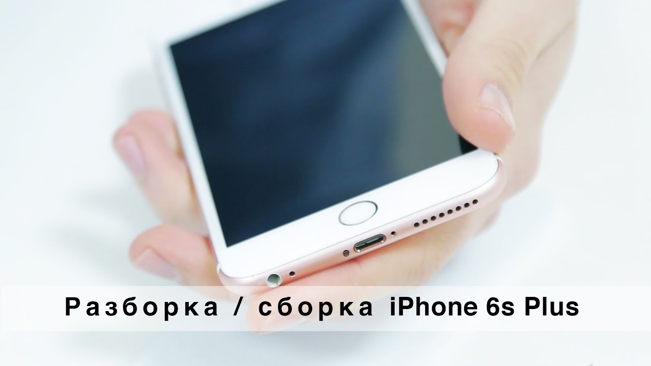 Полная разборка iPhone 6s Plus | Как самому разобрать айфон | iFix