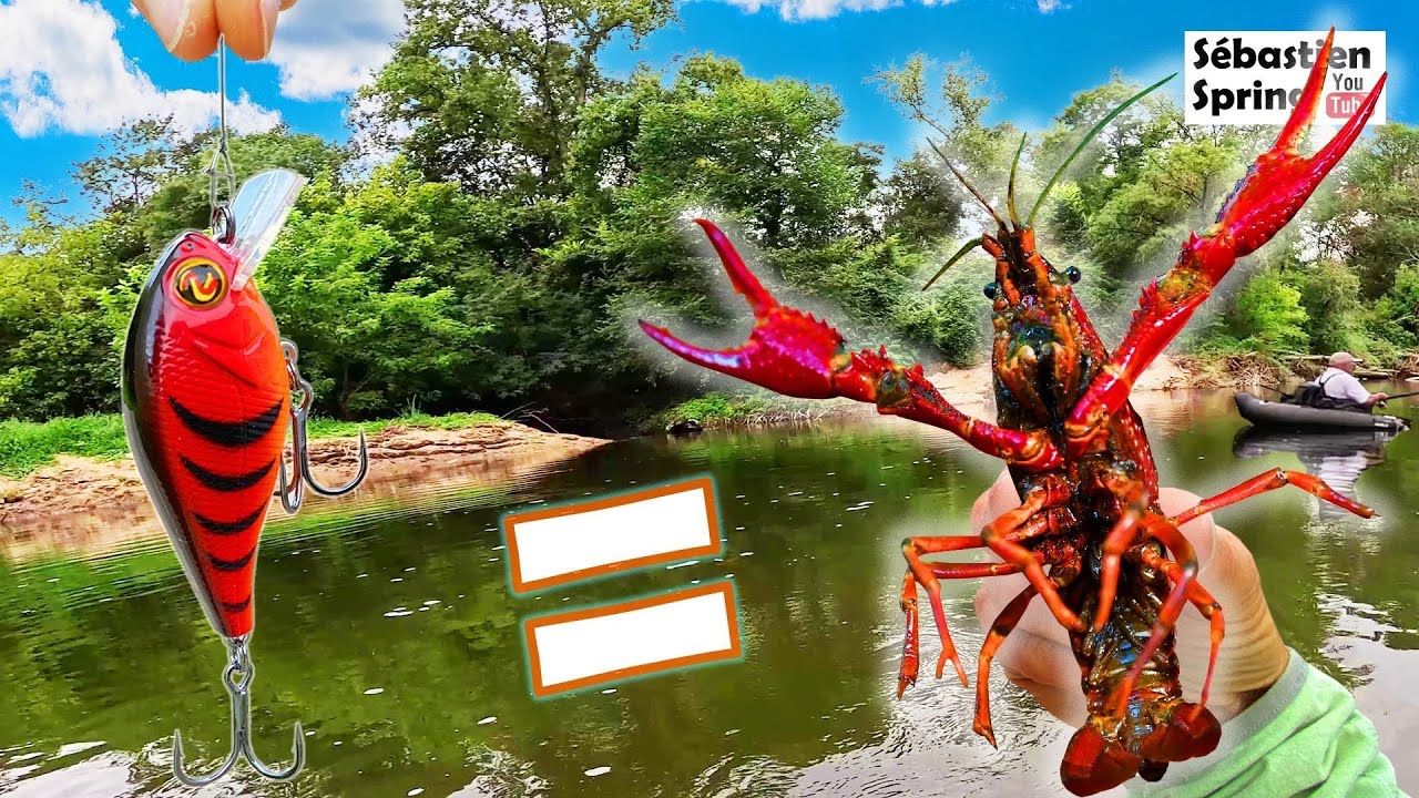 Les GROS POISSONS raffolent de ce leurre ÉCREVISSE !!!