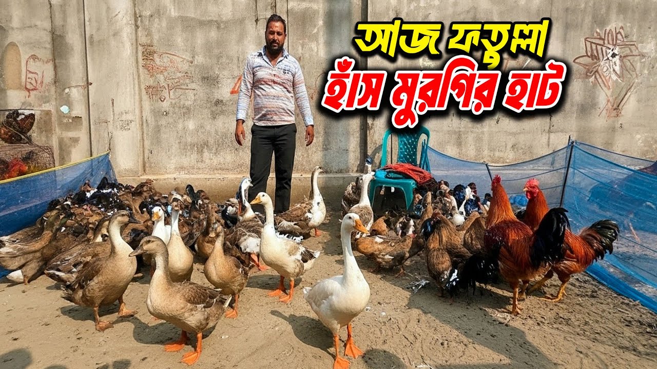 আজকের ফতুল্লা হাঁস-মুরগির হাটের সম্পূর্ণ চিত্র | Today Fattullah Poultry Market 2026
