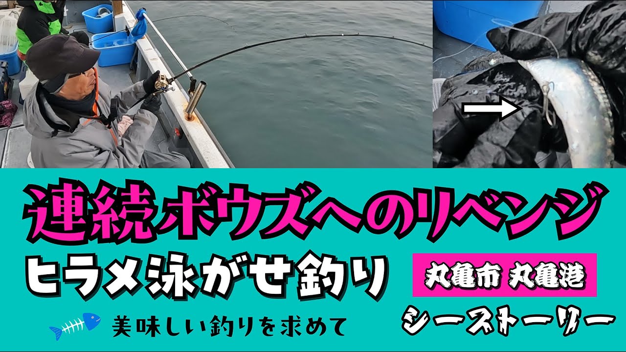 連続ボウズへのリベンジ ヒラメ泳がせ釣り シーストーリーにて 2025年12月21日    丸亀港出船 美味しい釣りを求めて