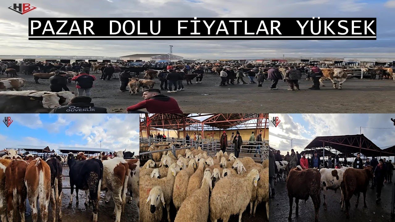 PAZAR DOLU, FİYATLAR YÜKSEK