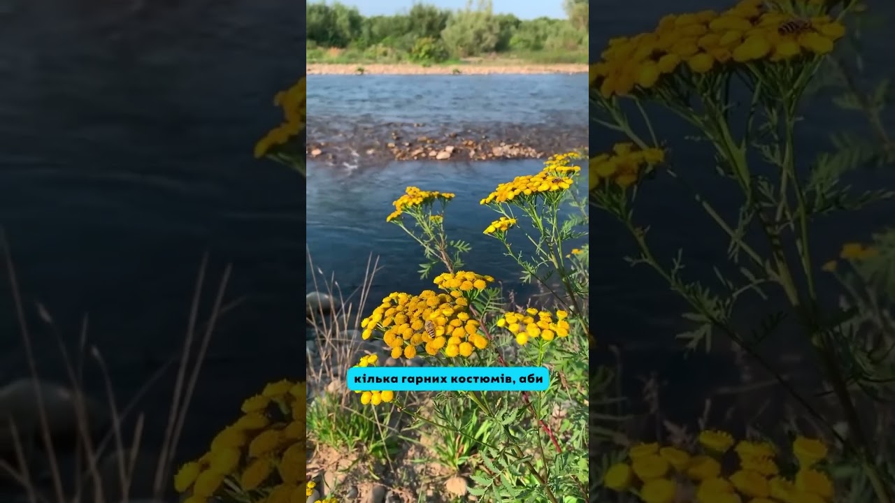 Сказати їм правду?