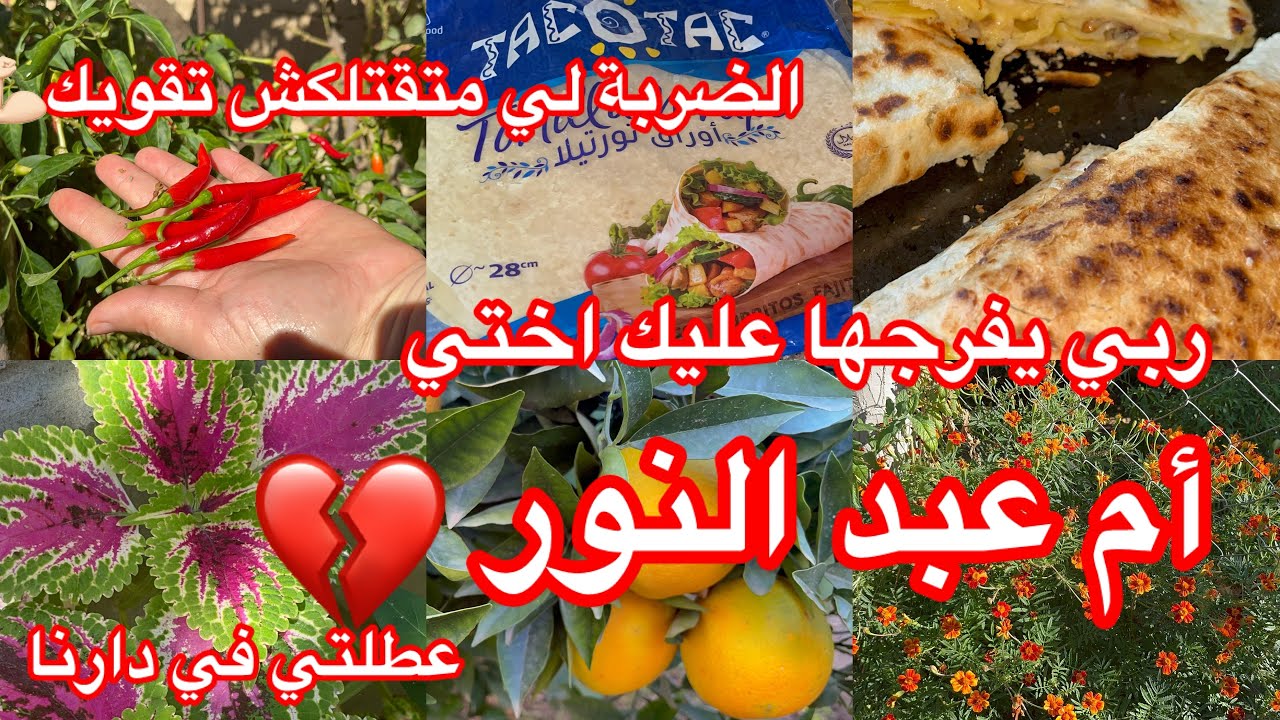 متغلطوش ❌هذي حقيقة اليوتوب 💢االعطلة في دارنا ⬆️شفوا 😱أختنا أم عبد النور مرحموهاش 😔وهي حامل🫄 