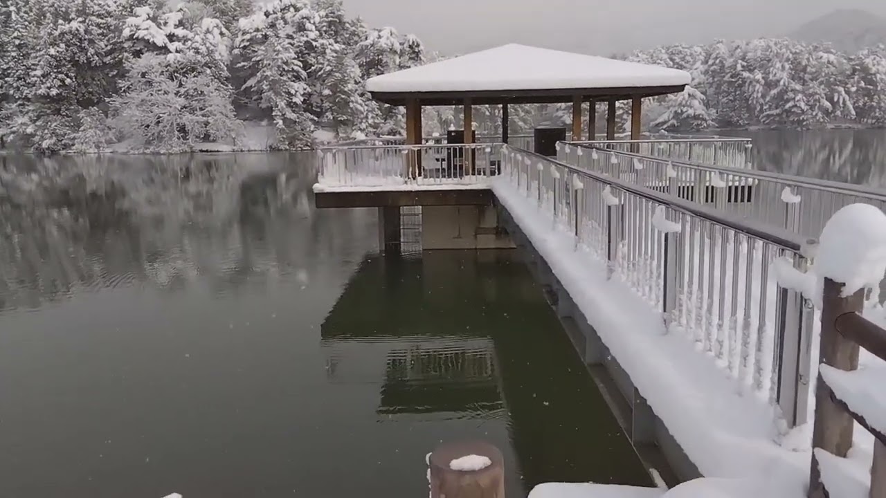 2026.1.22.10:01.京都府福知山市の三段池の雪景色です。