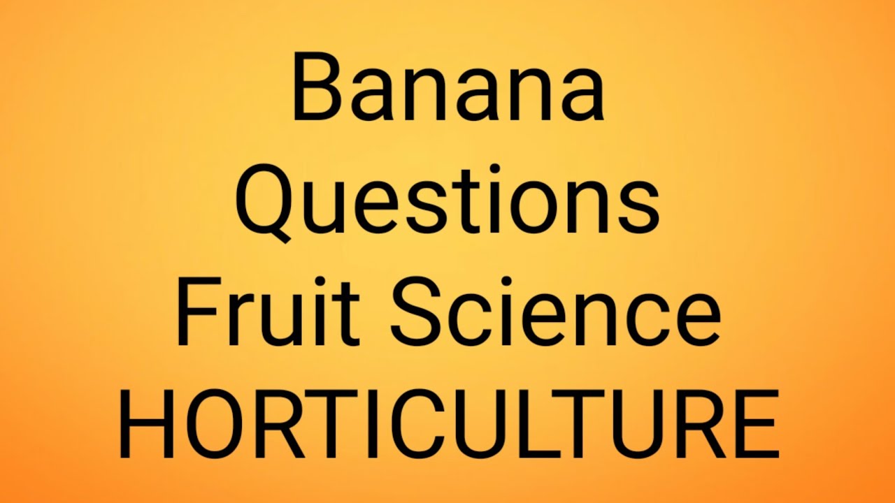 Banana Questions (Fruit science) HORTICULTURE | OPSC AHO | SRF | JRF |AFO