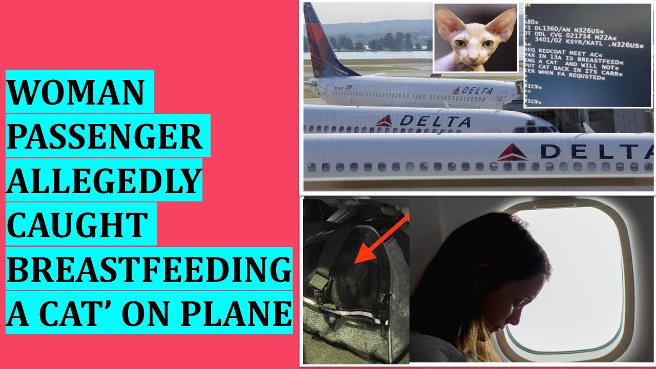 Delta Flight Breastfeeding Cat Incident Goes Viral