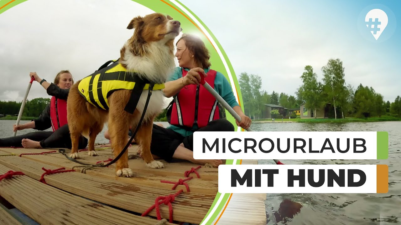 🐾 Abenteuer, Natur & Camping - Aktivurlaub mit Hund in Thüringen | 