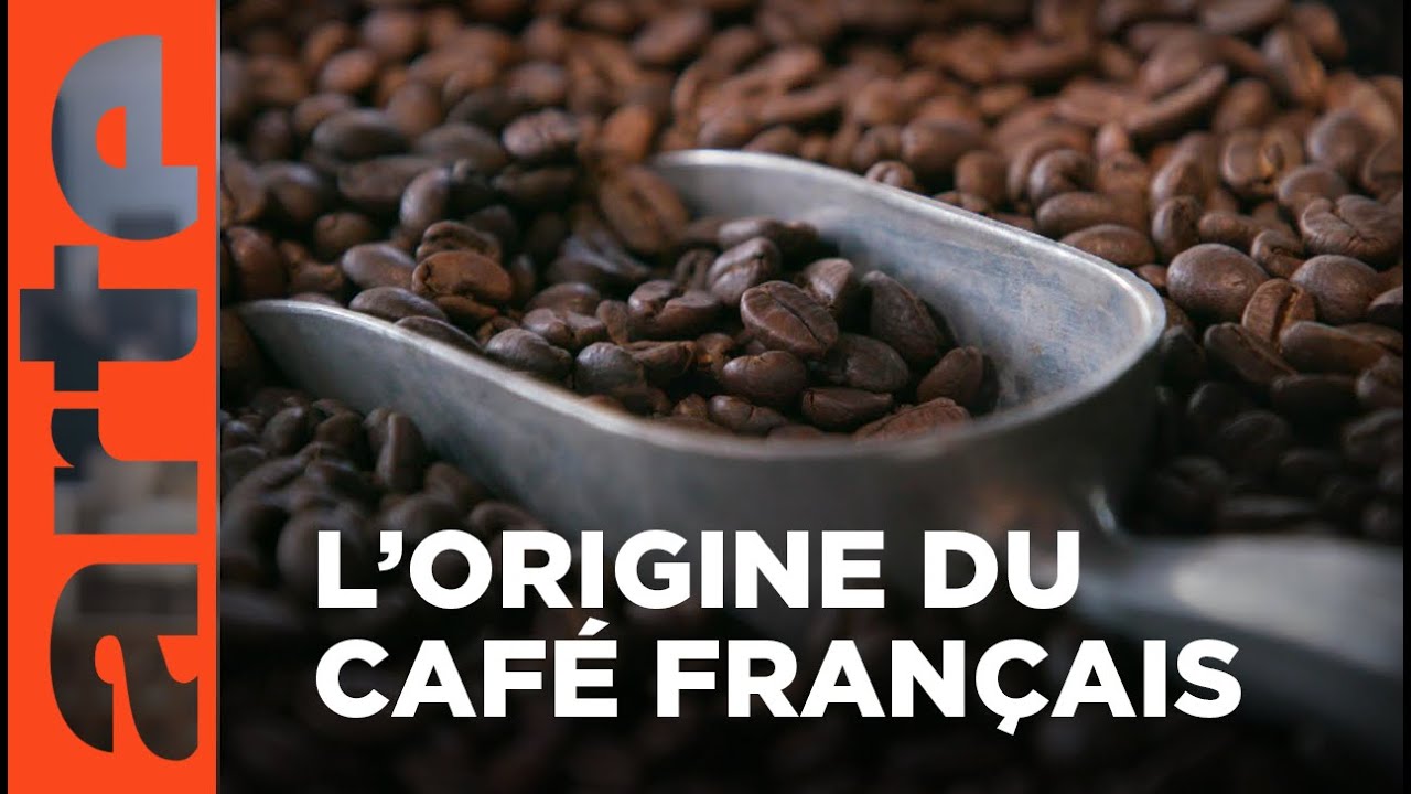 Le café, grain de folie du Havre | Invitation au voyage | ARTE