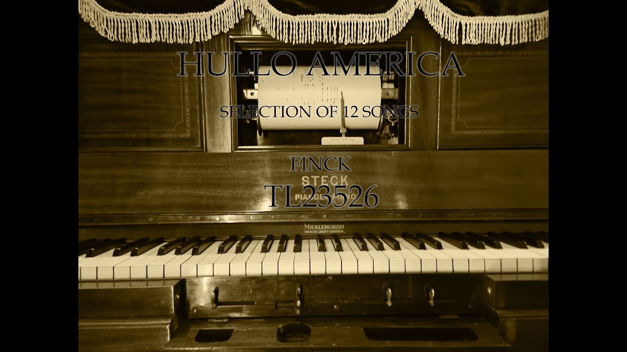 HULLO AMERICA- Themodist TL23526