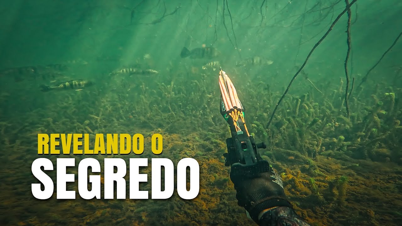 OS GRANDES PEIXES FICAM AQUI - PESCA SUB - ATASUB