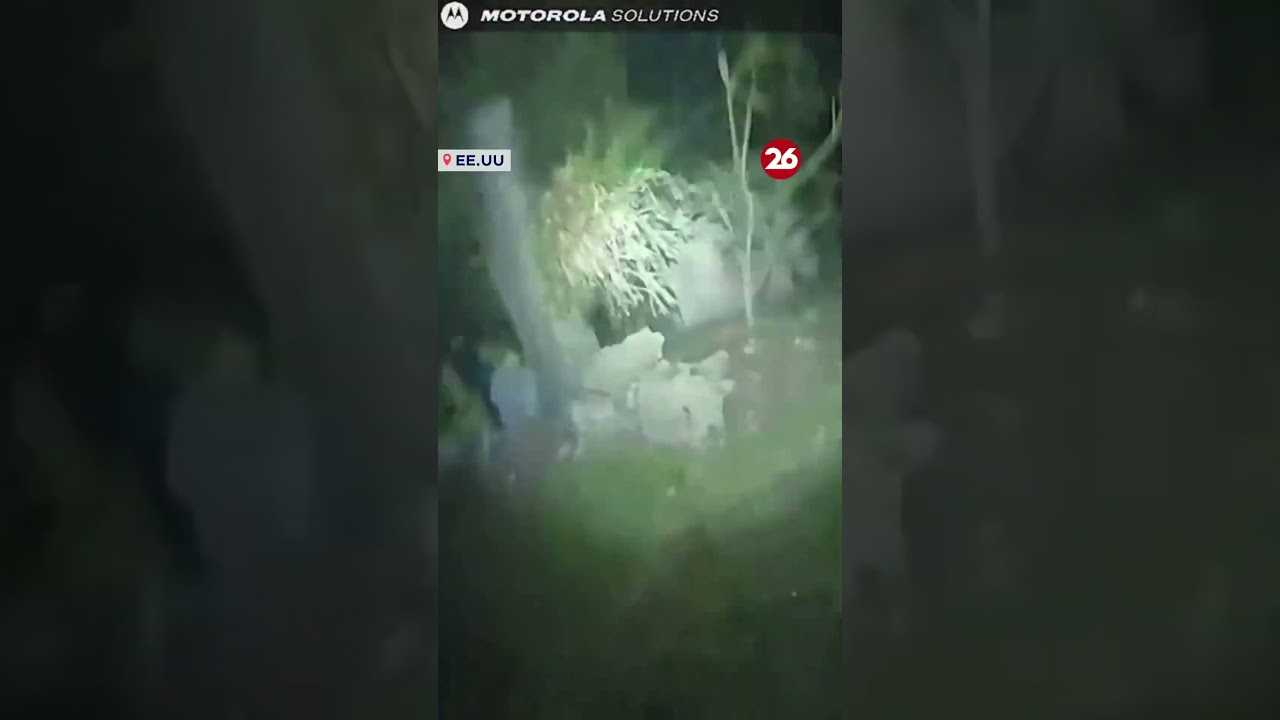 🔴Полиция задержала воров после кражи квадроцикла