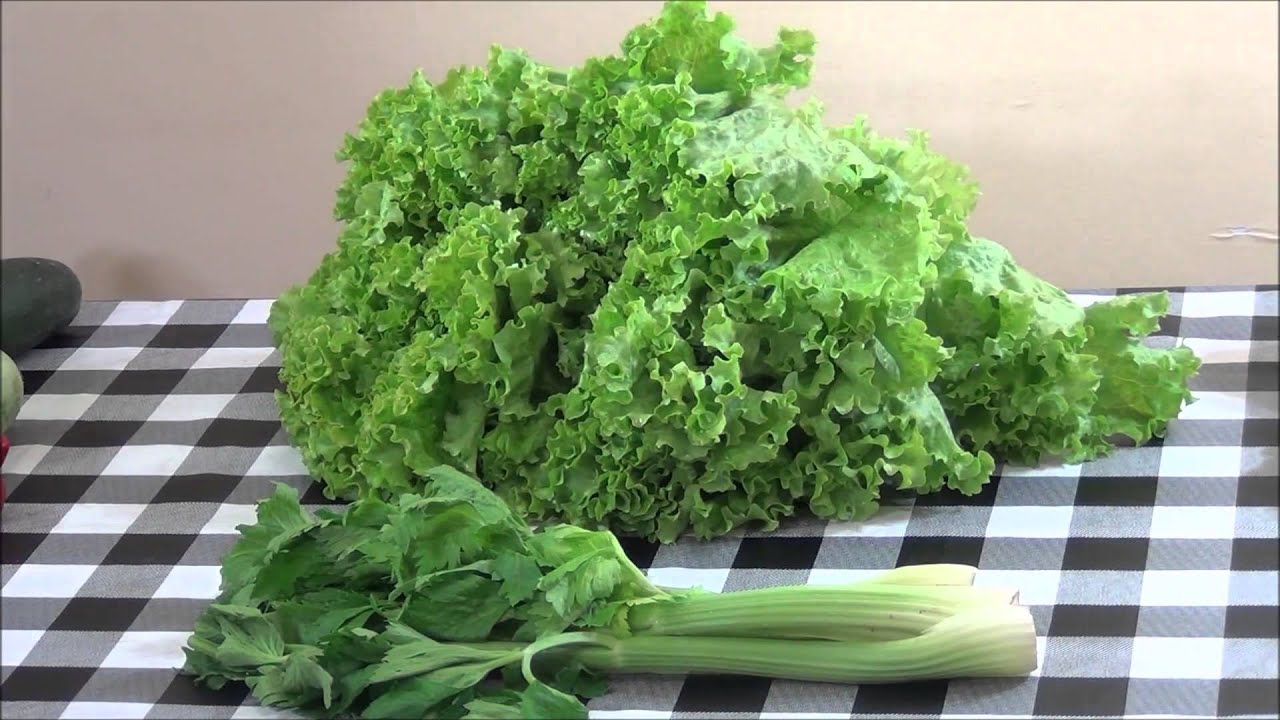 Vegetais na dieta 80/10/10 viva crua frugal! Quais vegetais consumir no crudivorismo?