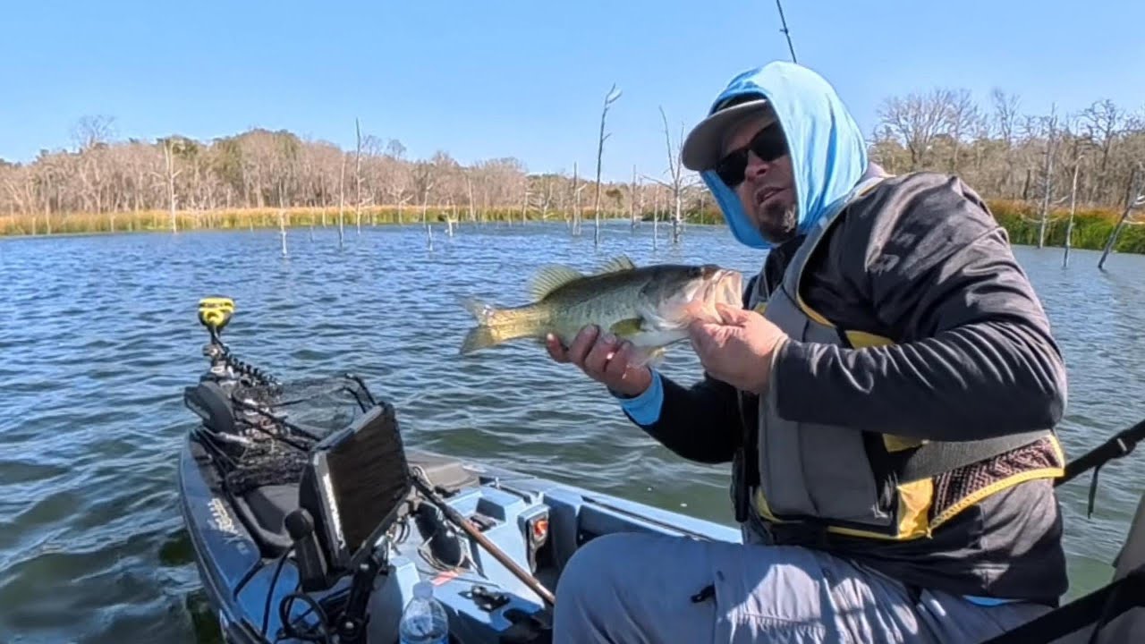 Van Camping and fishing Texas Lake Fayette