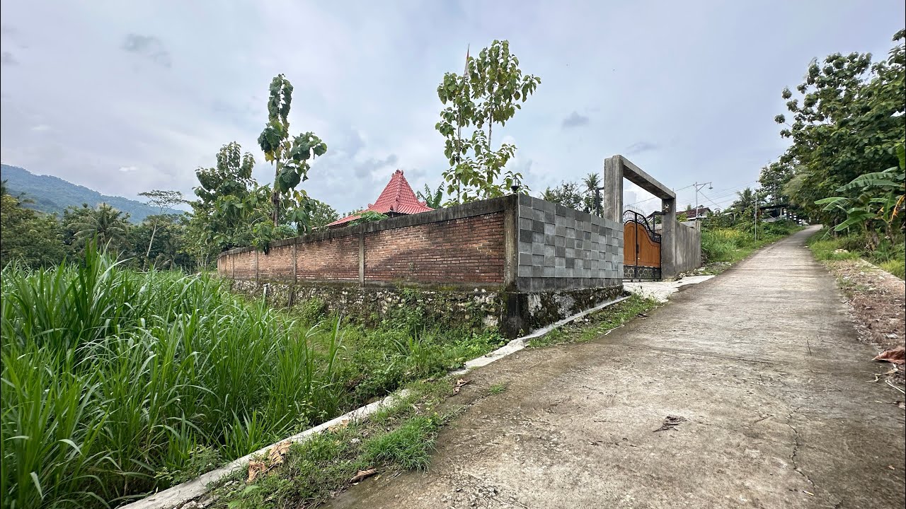 Tanah berview dekat jalan raya dan sekolahan