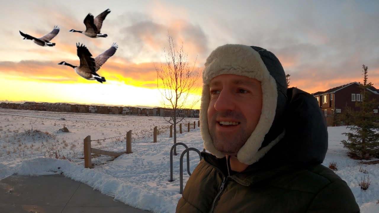The Canada Geese Are Leaving Me Behind!