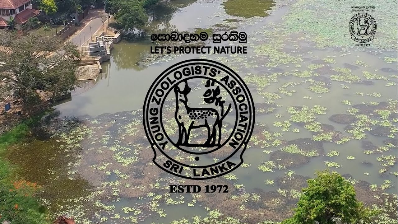 Wetland Conservation and Restoration