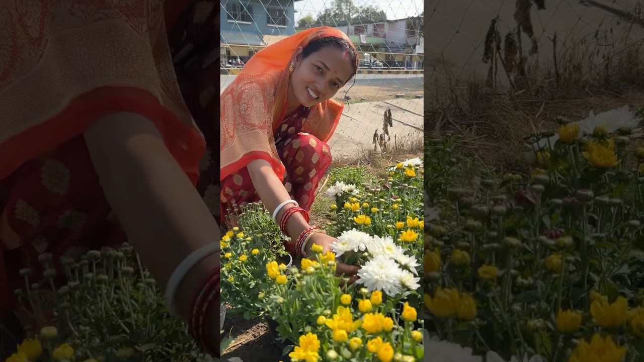 Shopping Winter Flower Plant Nursery Visit #winter #flower #plants #odia #gardening