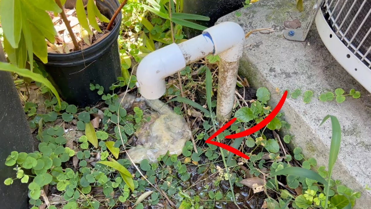How to Unclog Your AC Drain Line for CHEAP ($2.74) using Vinegar