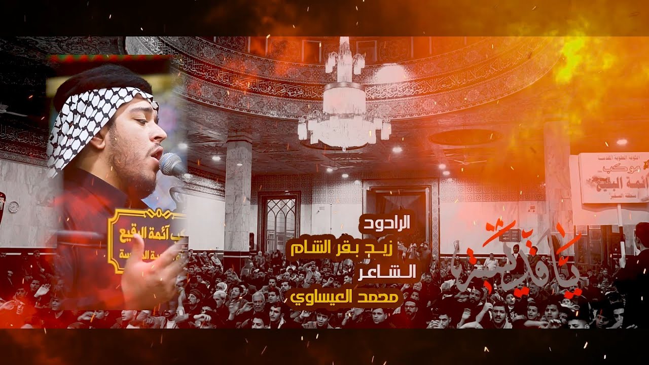 الرادود زيد بقر الشام ـ يا قديسة ـ مجلس موكب أئمة البقيع ع 1445 هـ