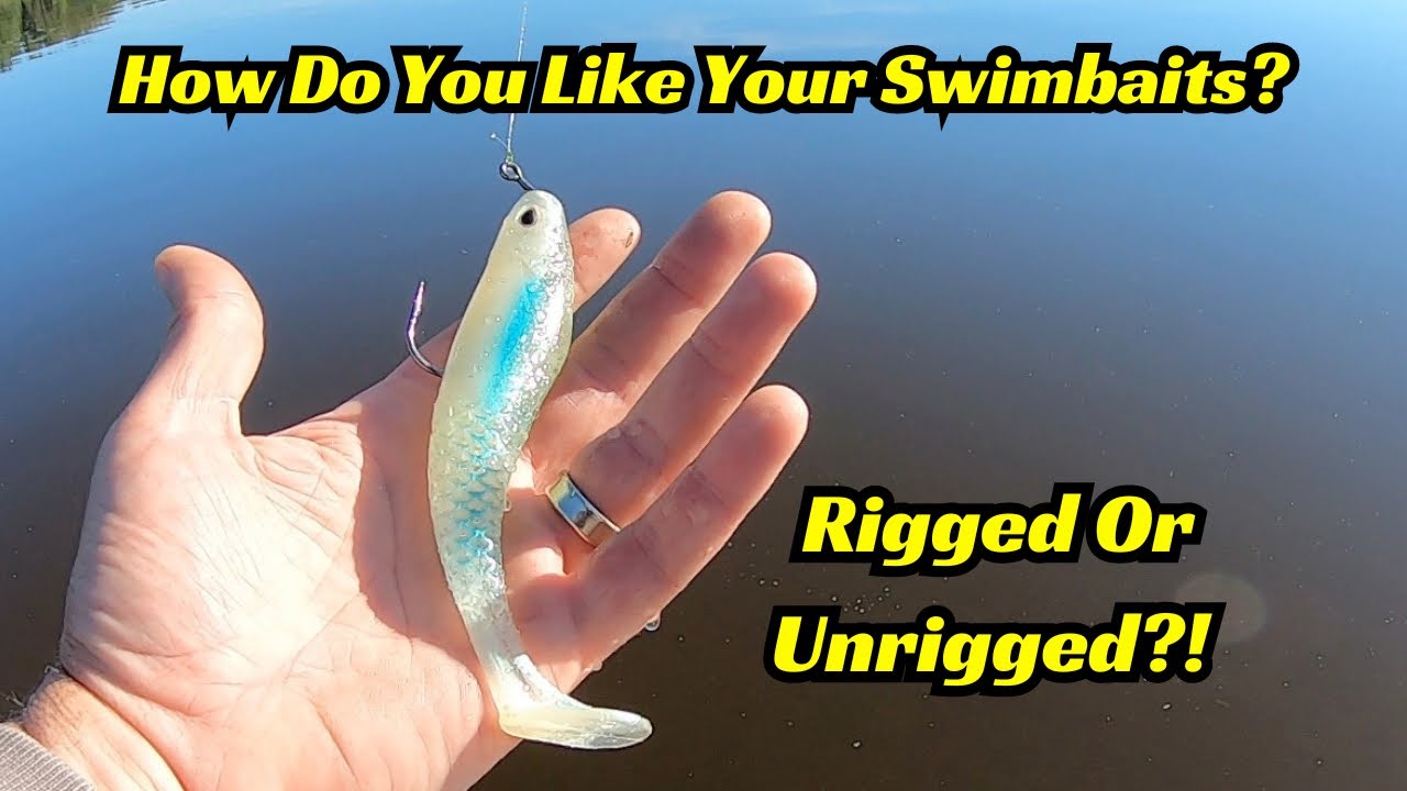 New Bait Alert! How Do You Like Your Swimbaits? The New Unrigged Cull Shad!
