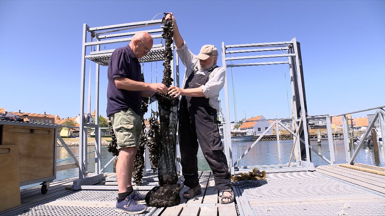 Frode og Poul har en køkkenhave på havbunden