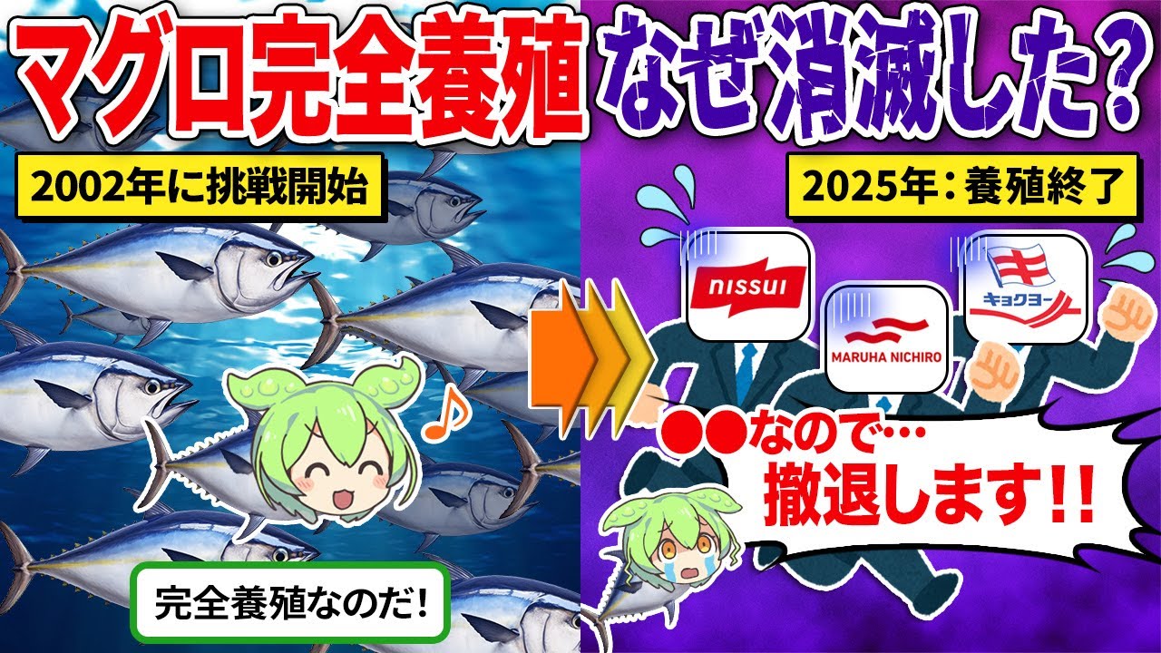 マグロの完全養殖がほぼ消滅した驚きの理由とは？