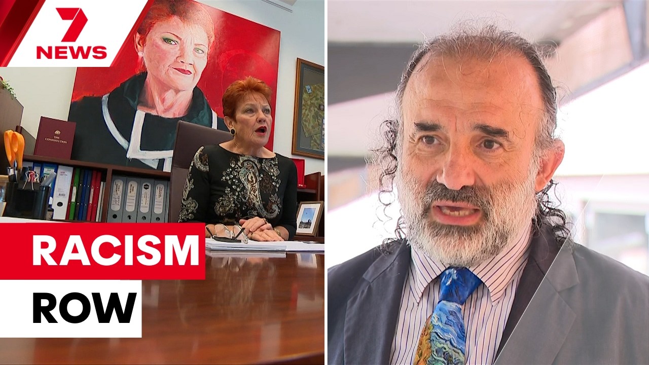 Pauline Hanson’s comments on Lakemba met with disgust in Sydney’s Islamic community | 7NEWS