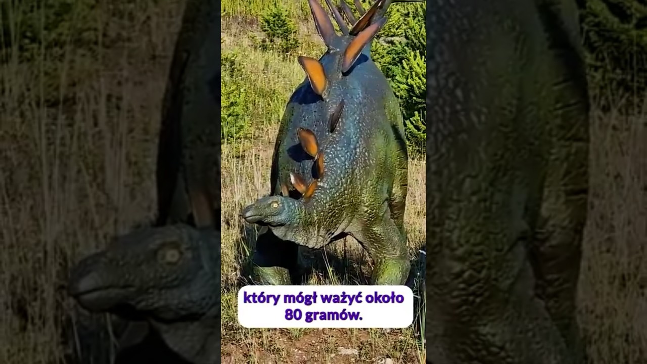 Czy stegozaur był najgłupszym dinozaurem?  #paleontologia #jurapark
